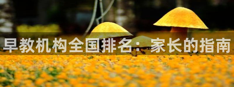 恒行娱乐婆蹬74ooo5盗：早教机构全国排名：家长的指南