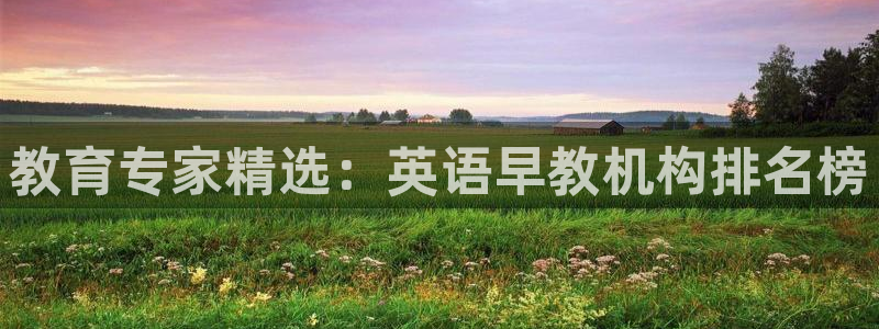 恒行开户全2O5o5O：教育专家精选：英语早教机构排名榜