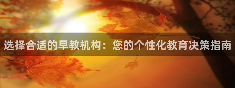 恒行主管6ll5l指定：选择合适的早教机构：您的个性化教育决策指南