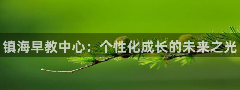 恒行2吕74OOO5：镇海早教中心：个性化成长的未来之光