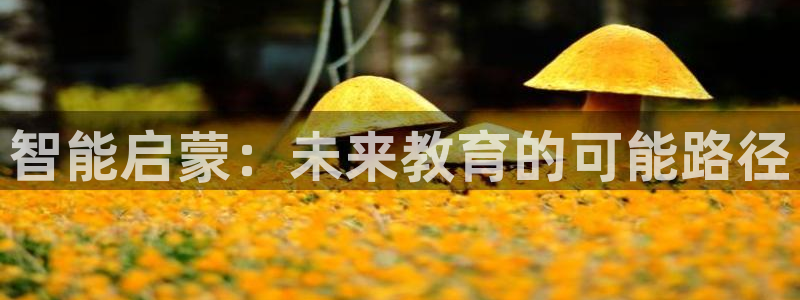 恒行2韩74OOO5：智能启蒙：未来教育的可能路径