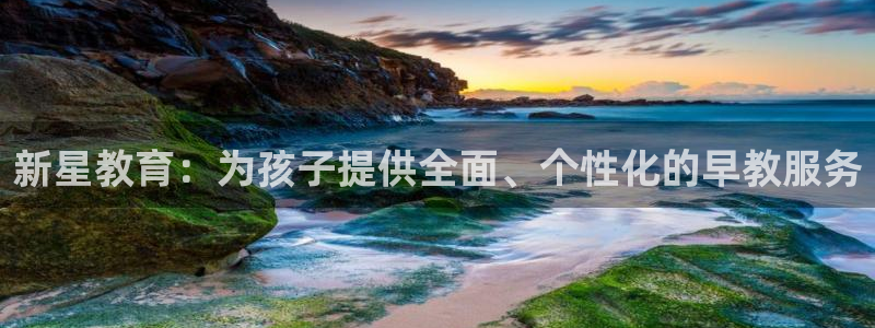 恒行开户全2O5o5O：新星教育：为孩子提供全面、个性化的早教服务