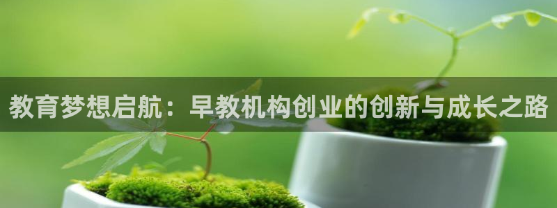 恒行5：教育梦想启航：早教机构创业的创新与成长之路