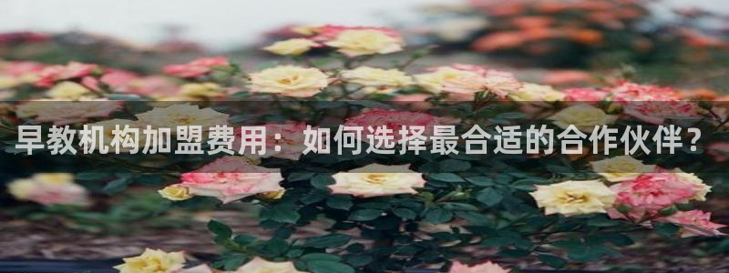 恒行娱乐5ll533主管正直：早教机构加盟费用：如何选择最合适的合作伙伴？