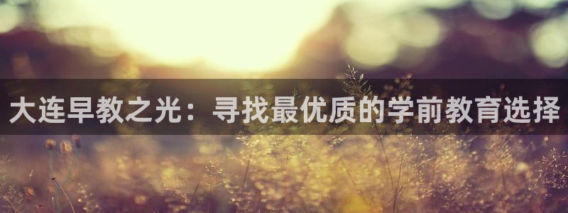 恒行2地74OOO5：大连早教之光：寻找最优质的学前教育选择