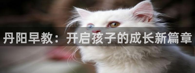 恒行娱乐5ll533主管正直：丹阳早教：开启孩子的成长新篇章