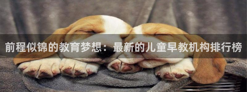 恒行2周74OOO5：前程似锦的教育梦想：最新的儿童早教机构排行榜