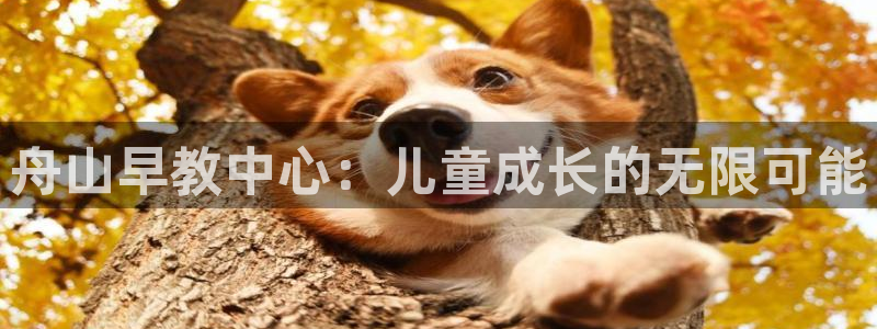 恒行2王74OOO5：舟山早教中心：儿童成长的无限可能