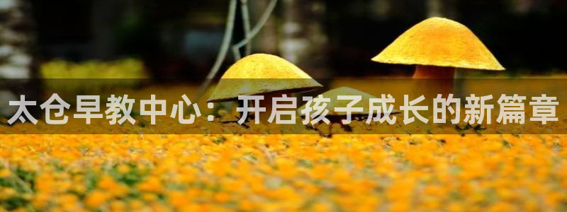 恒行2周74OOO5：太仓早教中心：开启孩子成长的新篇章