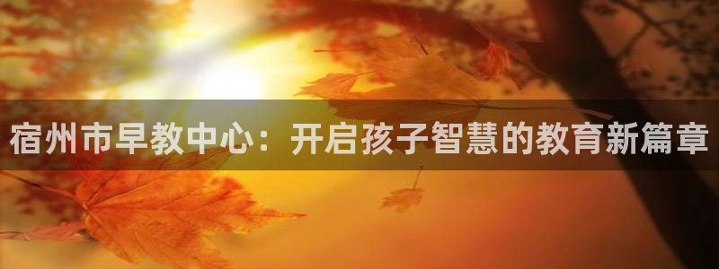 恒行娱乐寻问74 5：宿州市早教中心：开启孩子智慧的教育新篇章