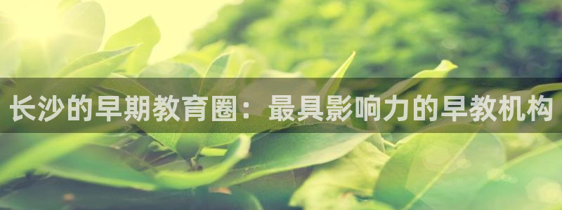 恒行娱乐河沂74ooo5程：长沙的早期教育圈：最具影响力的早教机构