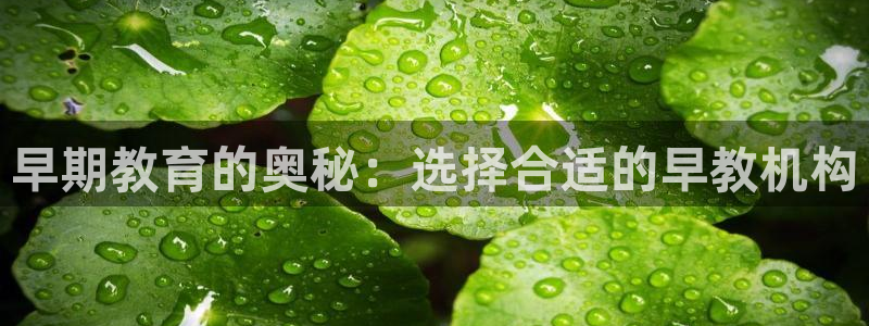 恒行2陈74OOO5：早期教育的奥秘：选择合适的早教机构