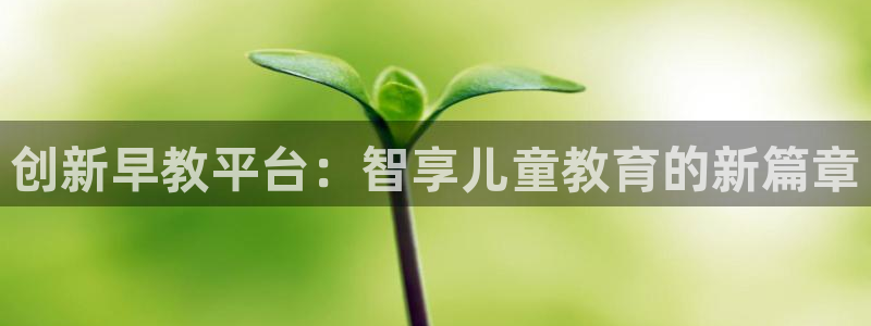 恒行2褚74OOO5：创新早教平台：智享儿童教育的新篇章