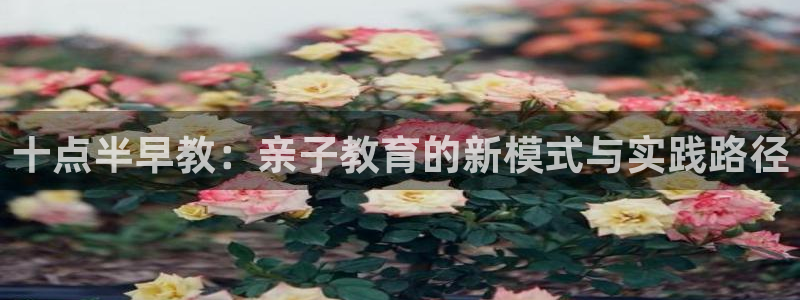 恒行代理总代主导 6ll5l：十点半早教：亲子教育的新模式与实践路径