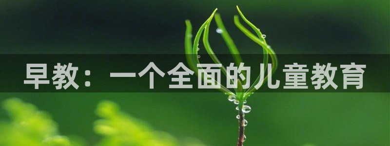 恒行2周74OOO5：早教：一个全面的儿童教育