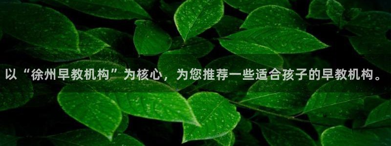 恒行娱乐蒋74OOO5：以“徐州早教机构”为核心，为您推荐一些适合孩子的早教机构