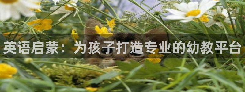 恒行娱乐寻问74 5：英语启蒙：为孩子打造专业的幼教平台
