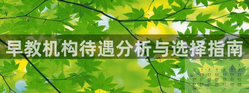 恒行开户娱乐6ll5l特惠:早教机构待遇分析与选择指南