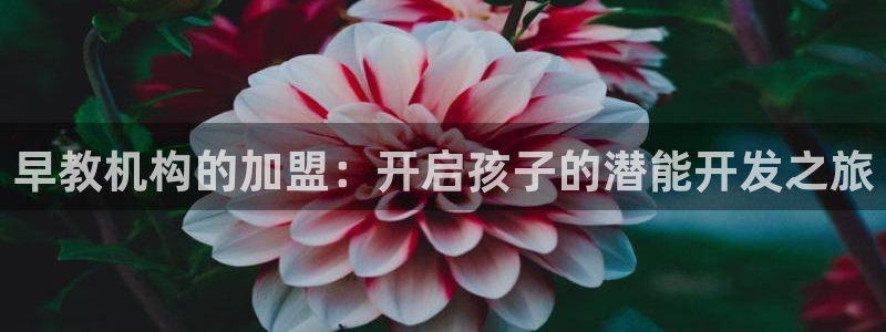 恒行娱乐景74ooo5诿抢：早教机构的加盟：开启孩子的潜能开发之旅