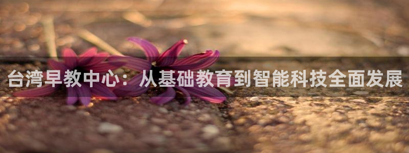 恒行2杨74OOO5：台湾早教中心：从基础教育到智能科技全面发展
