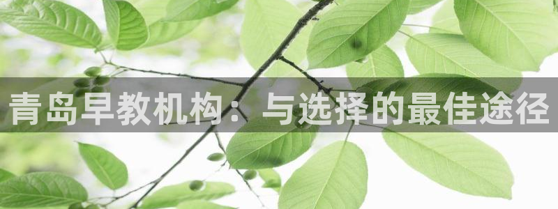 恒行2许74OOO5：青岛早教机构：与选择的最佳途径