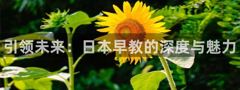 恒行2韩74OOO5：引领未来：日本早教的深度与魅力